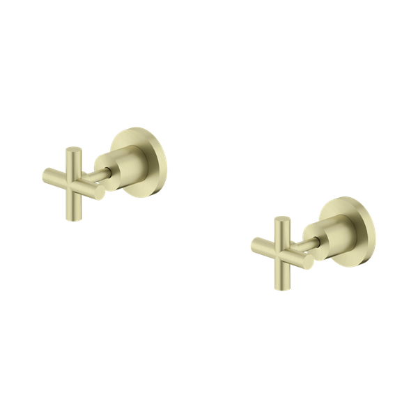 Nero X Plus Wall Tops Assembly Brushed Gold - NR201609BG