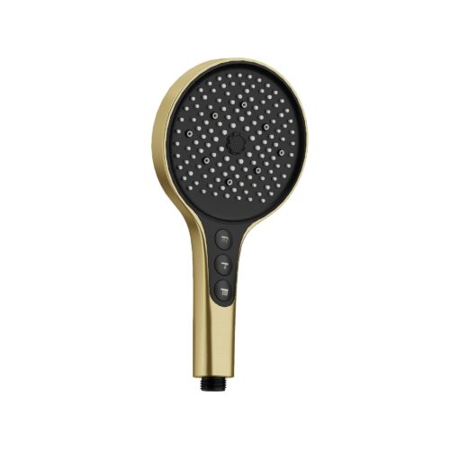 S3087BG.jpg Amoza 4Function Hand Shower - Brushed Gold - S3087BG