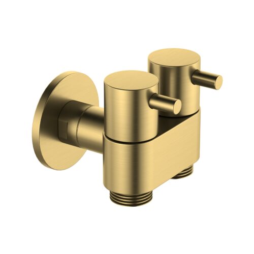 TH406BG.jpg Amoza DN15 Dual Cistern Tap Brushed Gold - TH406BG